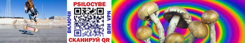 Псилоцибиновые грибы GOLDEN TEACHER  Судогда 