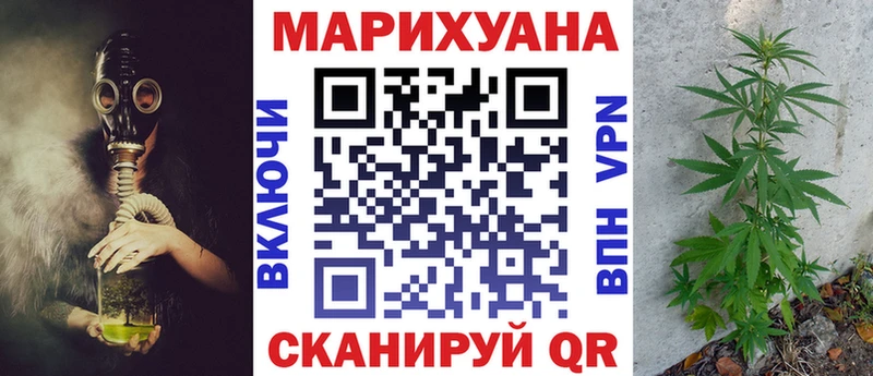 цена наркотик  Судогда  Шишки марихуана индика 